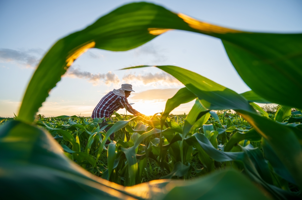 Food Security Studies image